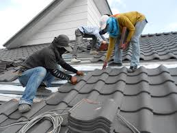 Best Storm Damage Roof Repair  in Niles, OH